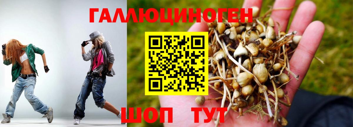 Мурино  Галлюциногенные грибы Psilocybine cubensis  Вход с VPN  Галлюциногенные грибы мухоморы 