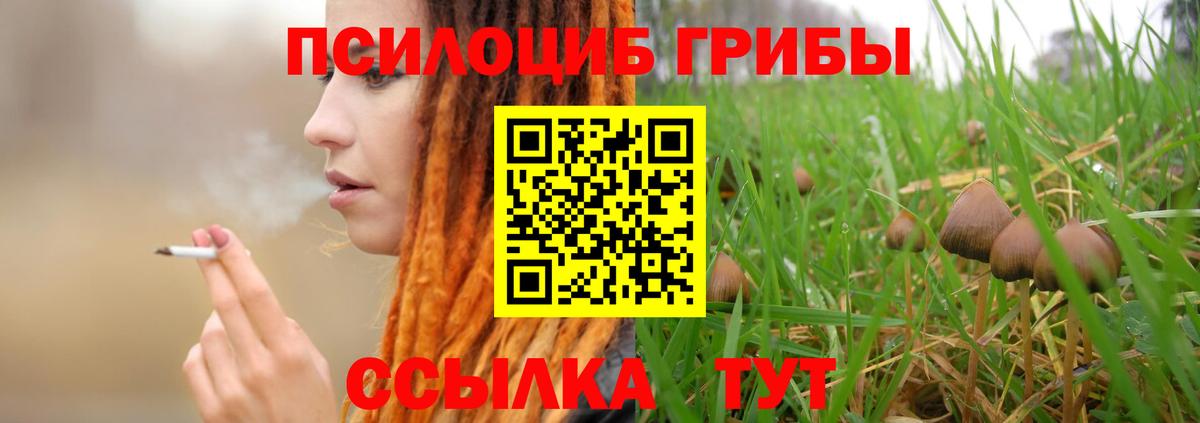 Галлюциногенные грибы мухоморы Мурино